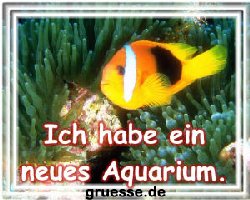 grusskarte-diverses-bekanntmachungen-k_001