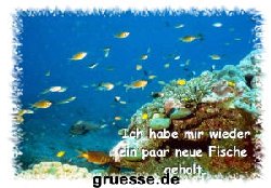 grusskarte-diverses-bekanntmachungen-k_002