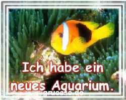 grusskarte-diverses-bekanntmachungen_001