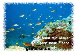 grusskarte-diverses-bekanntmachungen_002