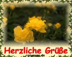 grusskarte-diverses-blumen-k_001