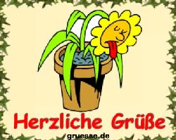 grusskarte-diverses-blumen-k_004