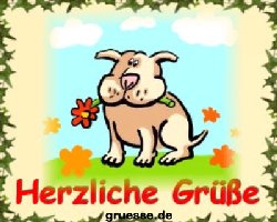 grusskarte-diverses-blumen-k_019