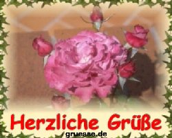 grusskarte-diverses-blumen-k_023