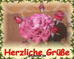grusskarte-diverses-blumen_023