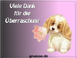 grusskarte-diverses-danke-k_018