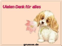 grusskarte-diverses-danke-k_031