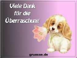 grusskarte-diverses-danke_018