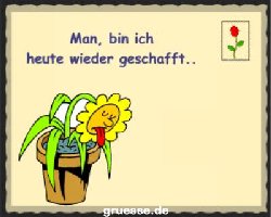 grusskarte-diverses-spassiges-k_002