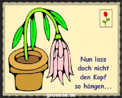 grusskarte-diverses-spassiges_003