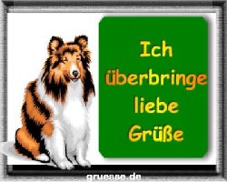 grusskarte-diverses-tiere-k_015