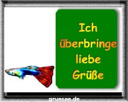 grusskarte-diverses-tiere-k_020