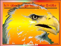 grusskarte-diverses-tiere-k_024