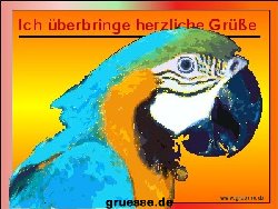 grusskarte-diverses-tiere-k_025