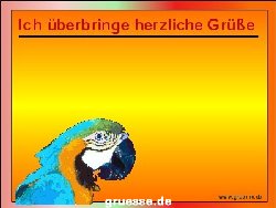 grusskarte-diverses-tiere-k_034