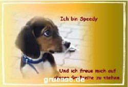 grusskarte-diverses-tiere_001