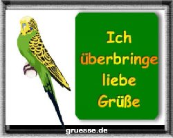 grusskarte-diverses-tiere_007
