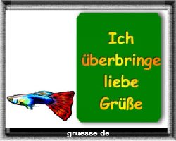 grusskarte-diverses-tiere_020