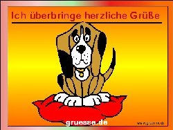 grusskarte-diverses-tiere_029