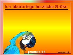 grusskarte-diverses-tiere_034