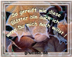 grusskarte-diverses-verzeihung_002