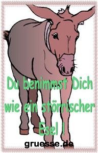 grusskarte-diverses-verzeihung_017