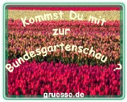 grusskarte-einladung-diverses_004