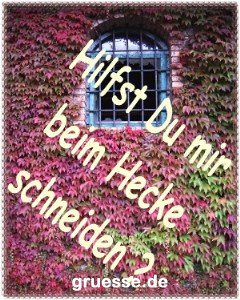 grusskarte-einladung-diverses_007