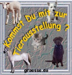 grusskarte-einladung-diverses_012