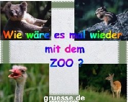 grusskarte-einladungen-ausgehen_008