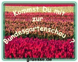 grusskarte-einladungen-diverses_004