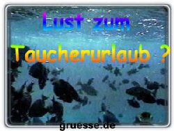 grusskarte-einladungen-reisen-k_005