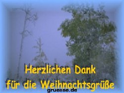 grusskarte-festtage-weihnachten-danke-k_005