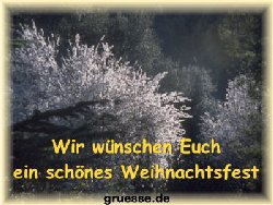grusskarte-festtage-weihnachten-fotos-k_009