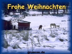 grusskarte-festtage-weihnachten-fotos-k_010