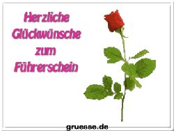 grusskarte-glueckwuensche-fuehrerschein-k_004