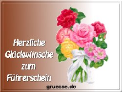 grusskarte-glueckwuensche-fuehrerschein_002