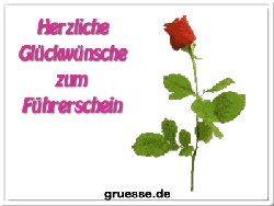 grusskarte-glueckwuensche-fuehrerschein_004