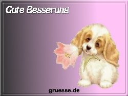 grusskarte-glueckwuensche-genesung_009