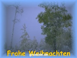 grusskarte-weihnachten-fotos_006