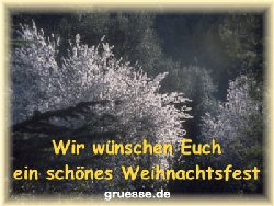 grusskarte-weihnachten-fotos_009