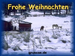 grusskarte-weihnachten-fotos_010