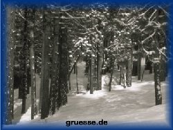 grusskarte-weihnachten-fotos_011