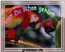 grusskarte-witz-witz3-k_010