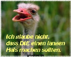 grusskarte-witz-witz3-k_012