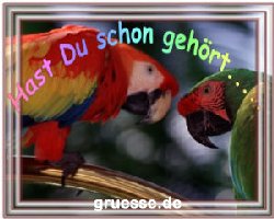 grusskarte-witz-witz3_010