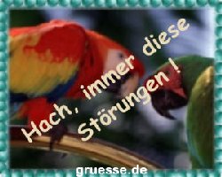 grusskarte-witz-witz4-k_010