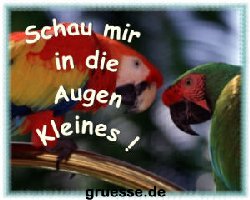 grusskarte-witz-witz4-k_012