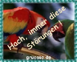 grusskarte-witz-witz4_010