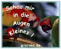 grusskarte-witz-witz4_012